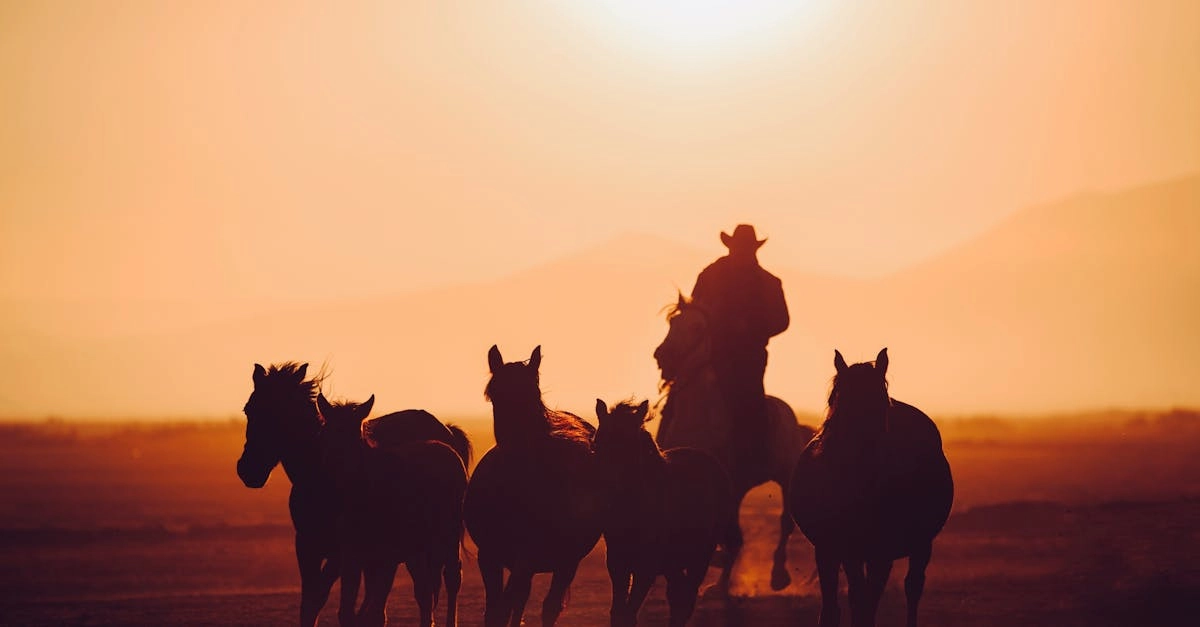 Wild West Gold Megaways слот - стратегический анализ игры