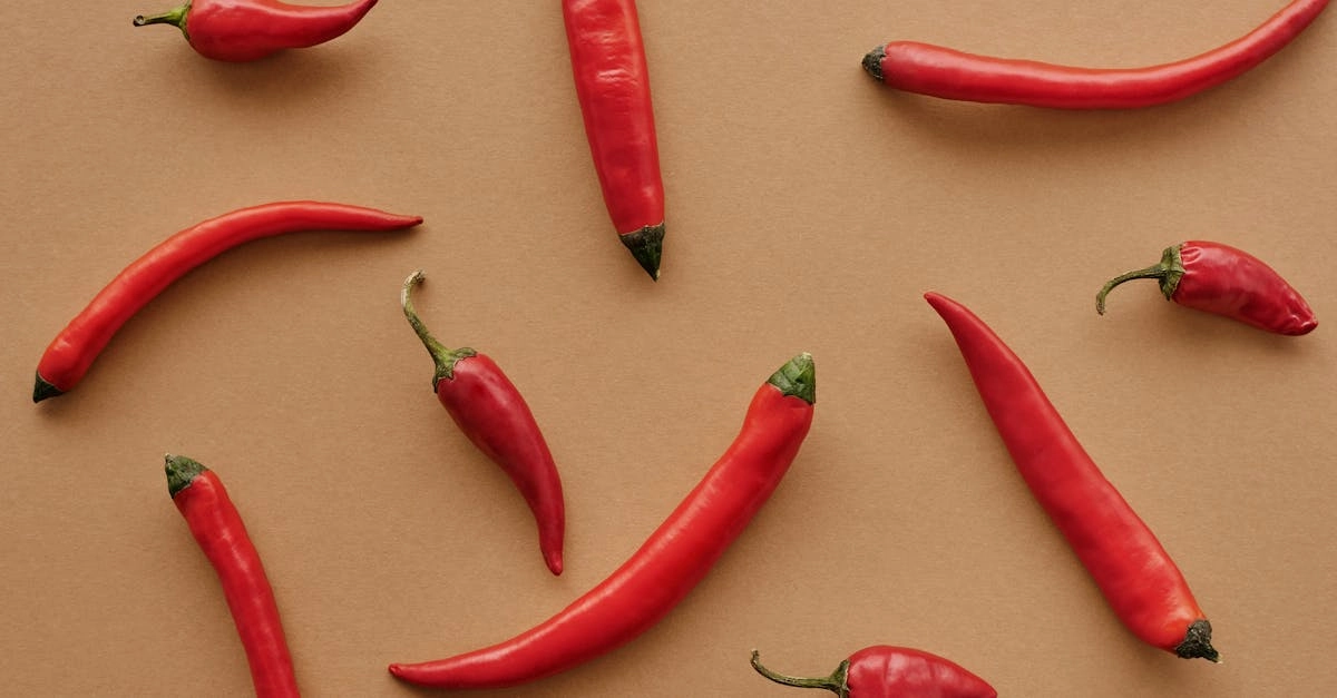 Стратегический анализ слот-игры Hot Chilli - профессиональный обзор